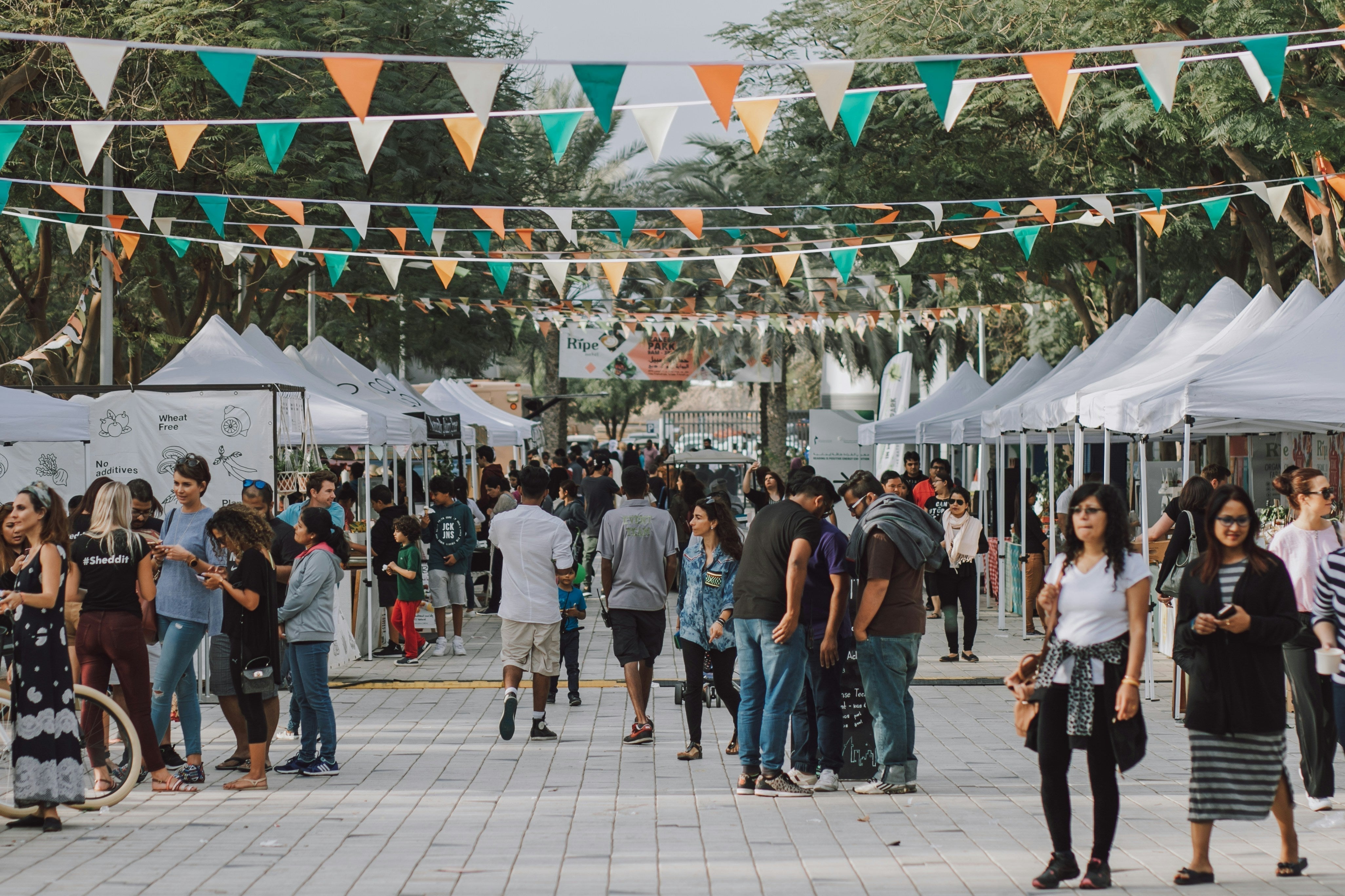 Orlando art market 2025